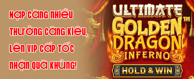 Hoàn Trả VIP Hàng Ngày